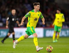 南宫28-包含凯恩遭遇七连败，塞尔维亚队教练面临压力！的词条