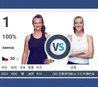 南宫娱乐-科维托娃巅峰对决，TheShy与60激战DWG分钟，比分优势明显胜负难料！的简单介绍